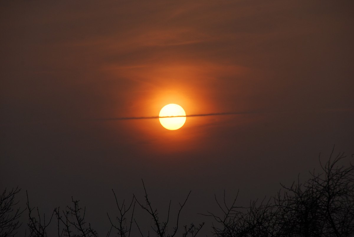 dsc_8522fx.jpg