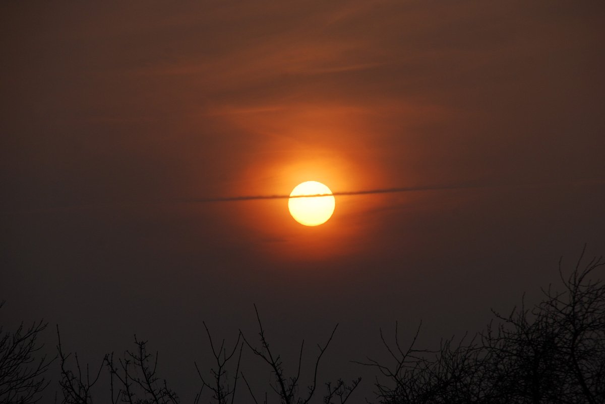 dsc_8525fx.jpg