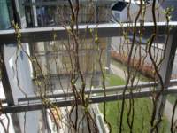 img_4242fx_small.jpg