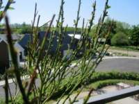 img_4400fx_small.jpg