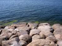 img_4411fx_small.jpg