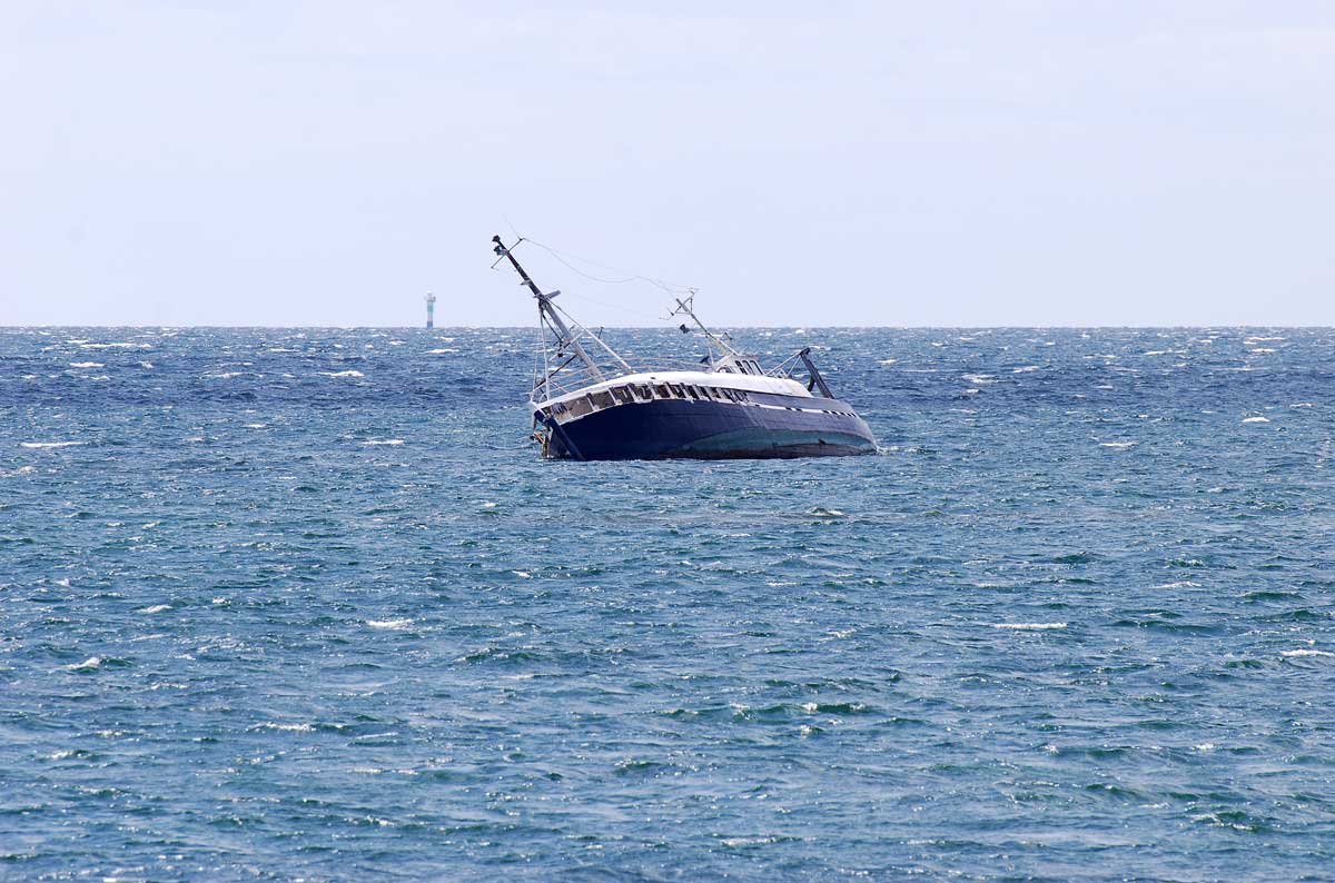 dsc_8635fx.jpg