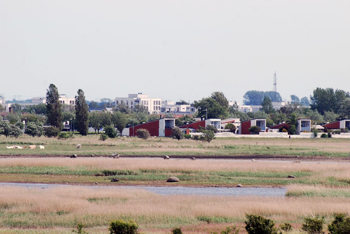 dsc_8655fx.jpg