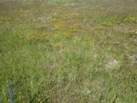 img_4524fx_small.jpg