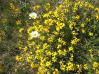 img_4526fx_small.jpg