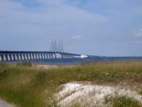 img_4528fx_small.jpg
