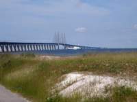 img_4529fx_small.jpg