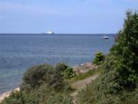 img_4537fx_small.jpg