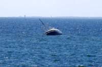 dsc_8789fx_small.jpg