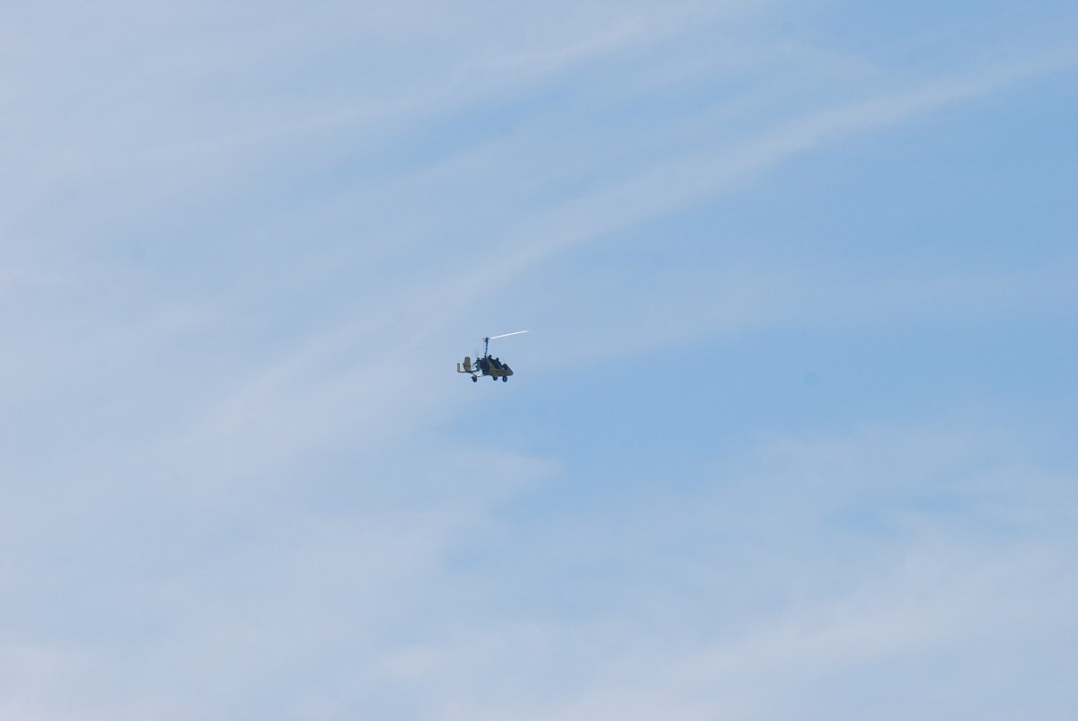 dsc_8821fx.jpg