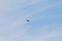 dsc_8821fx_small.jpg