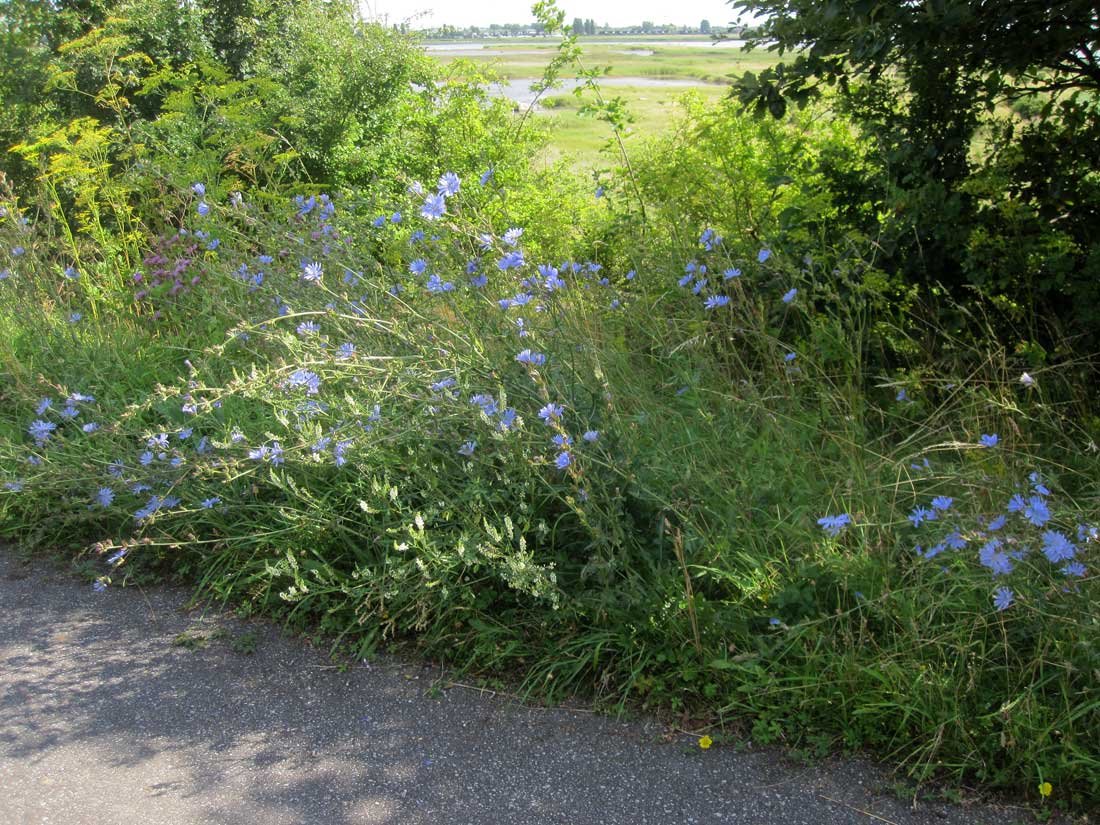 img_5267fx.jpg