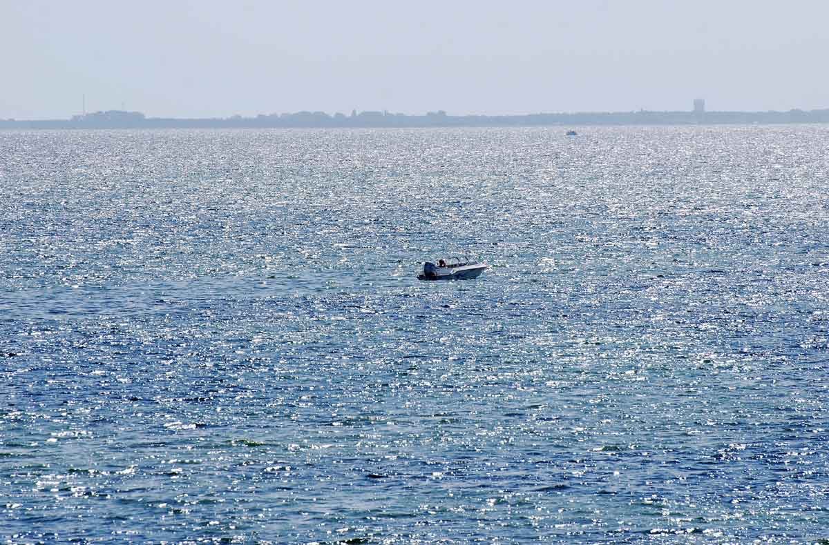 dsc_8859fx.jpg