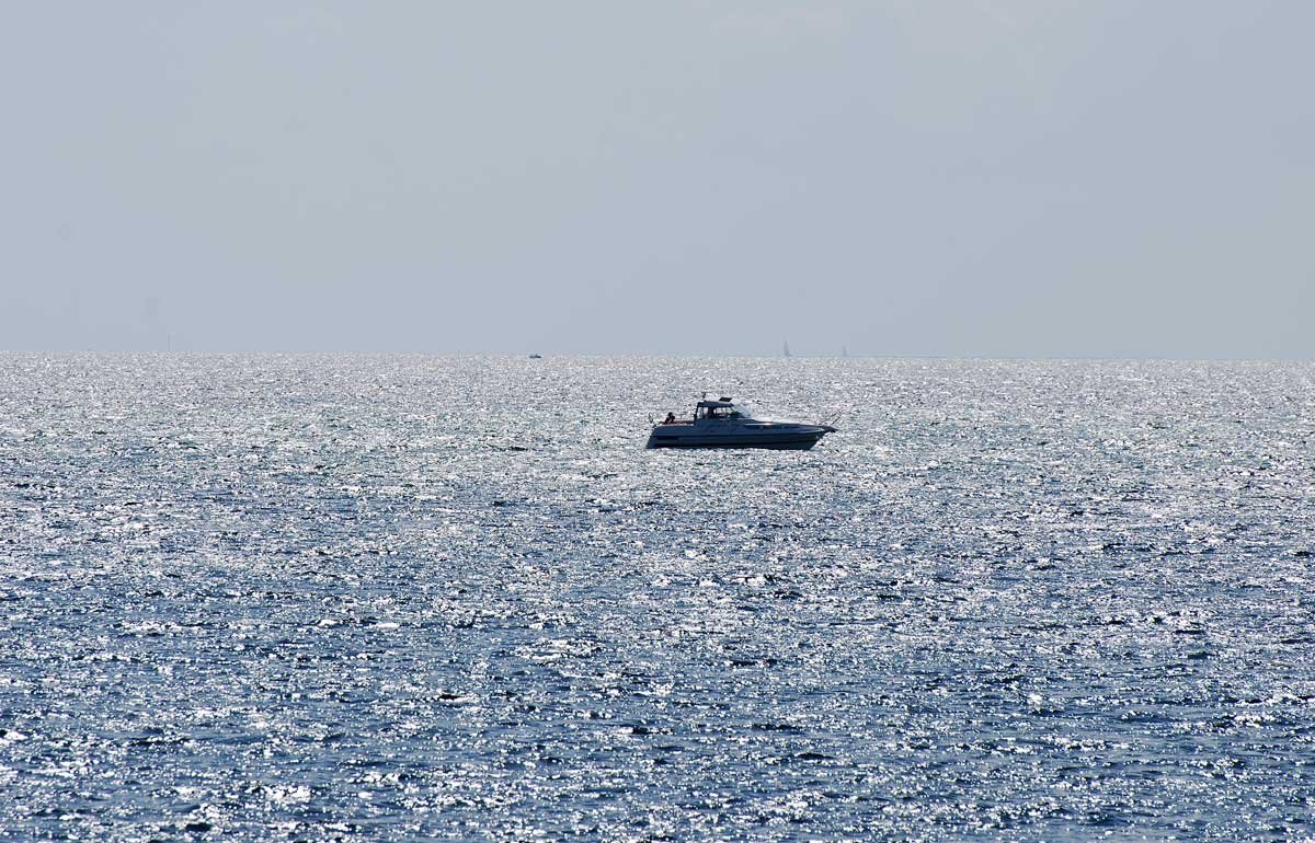 dsc_8861fx.jpg