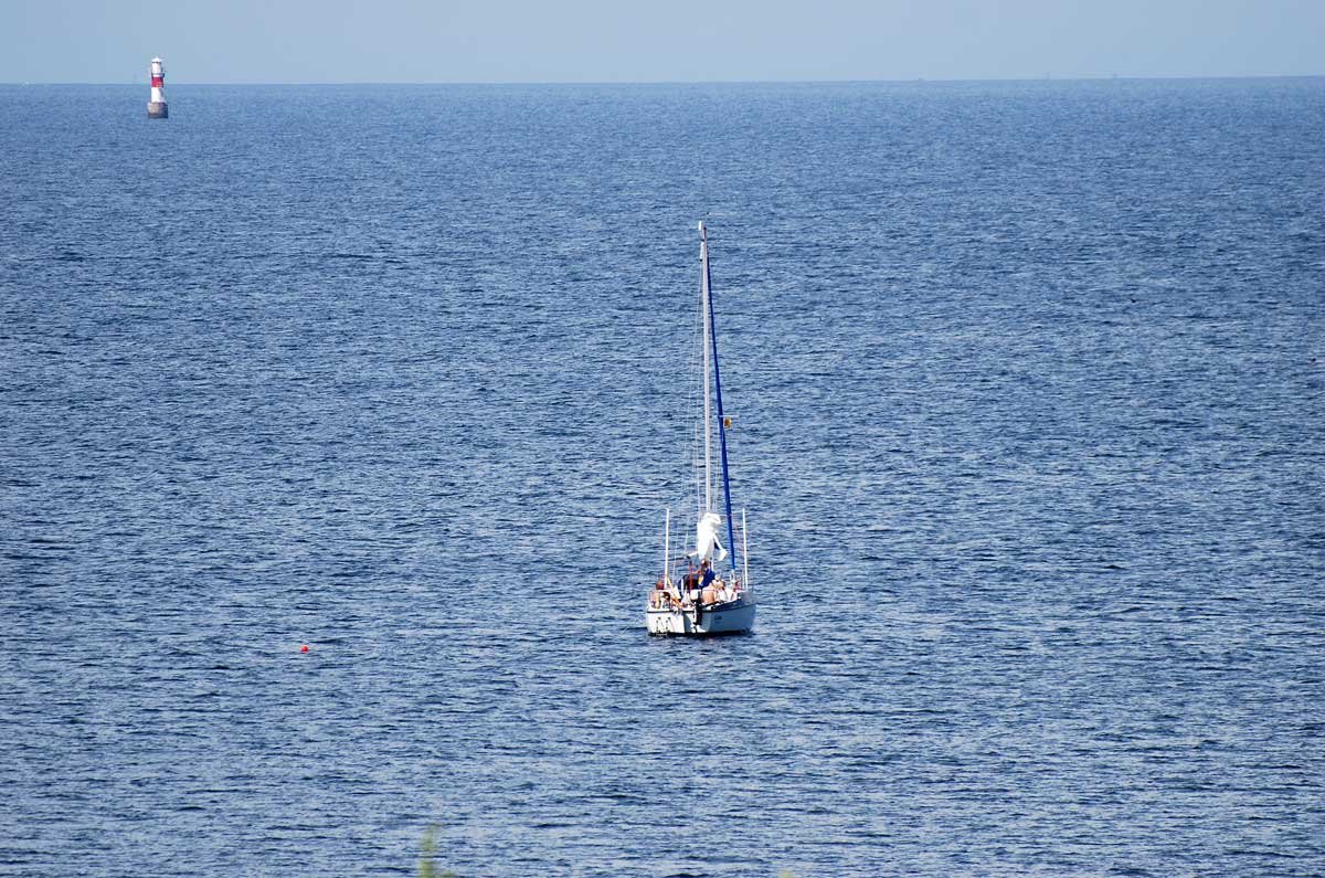 dsc_8864fx.jpg
