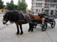 img_5925fx_small.jpg