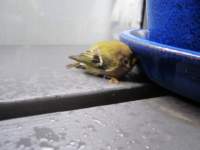 img_5970fx_small.jpg