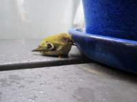 img_5972fx_small.jpg