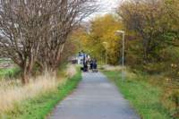 dsc_9031fx_small.jpg