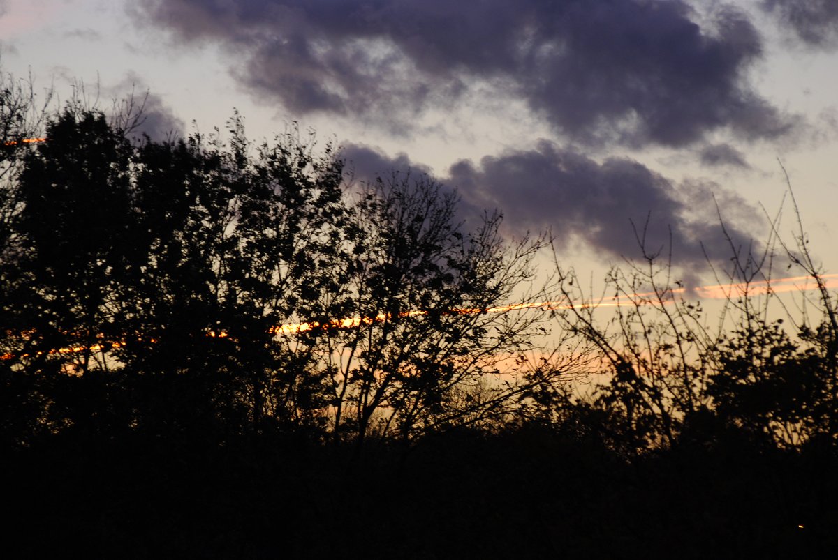dsc_90491200px.jpg