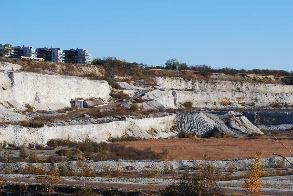 dsc_9089fx.jpg