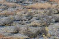dsc_9156fx_small.jpg
