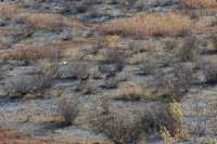 dsc_9157fx_small.jpg