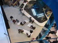 img_6064fx_small.jpg
