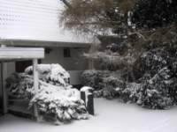 img_6174fx_small.jpg