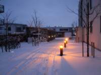 img_6184fx_small.jpg
