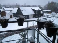 img_6191fx_small.jpg