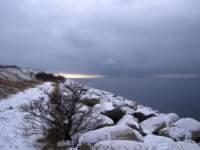 img_6260fx_small.jpg