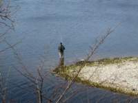 img_6412fx_small.jpg