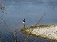 img_6413fx_small.jpg