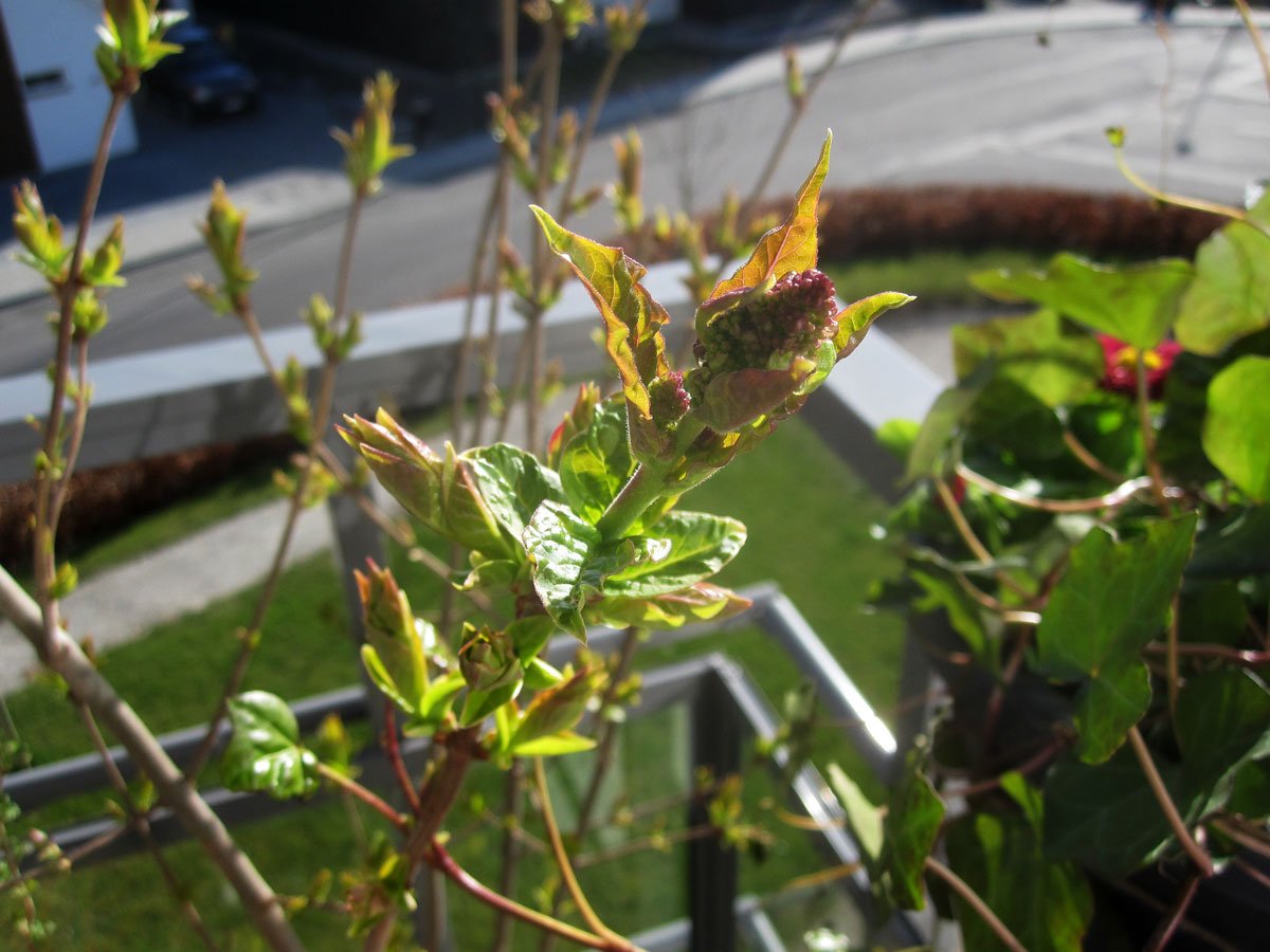 img_6421fx.jpg