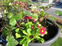 img_6425fx_small.jpg