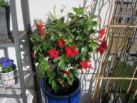 img_6426fx_small.jpg