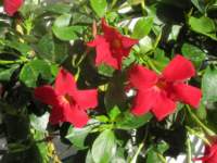 img_6431fx_small.jpg
