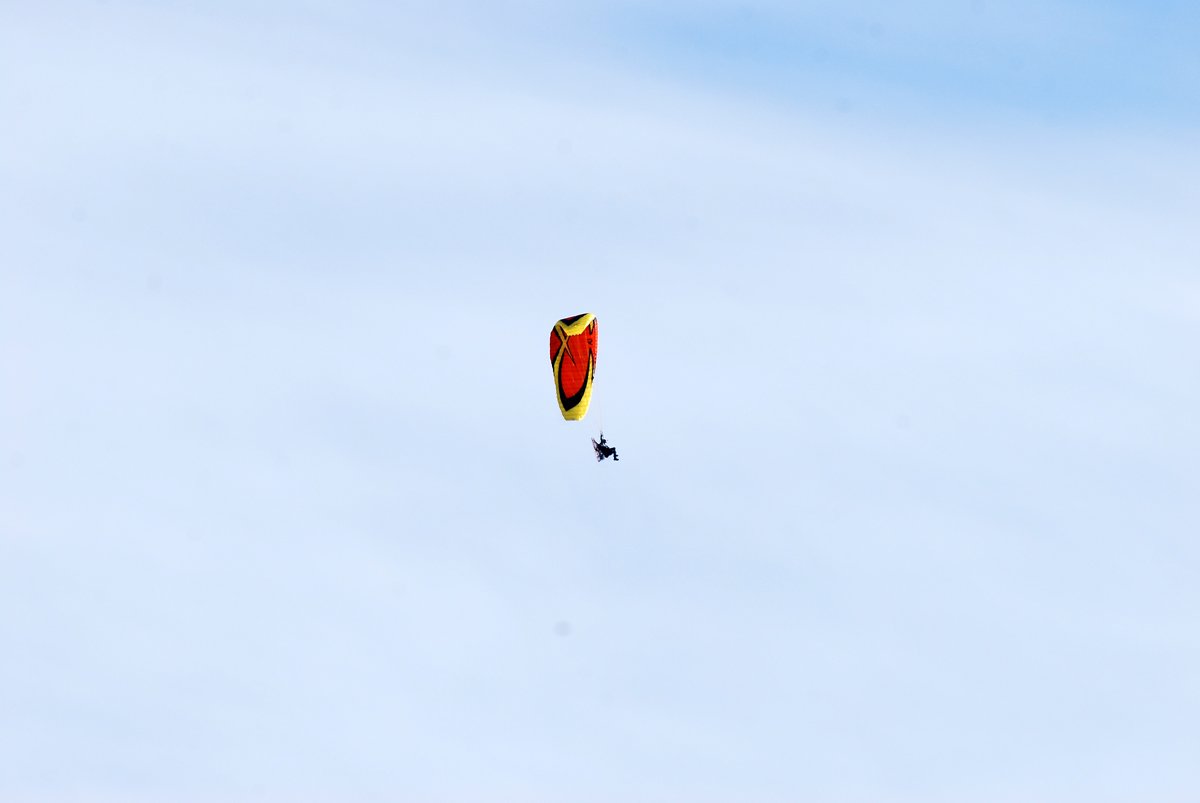 dsc_9477fx.jpg