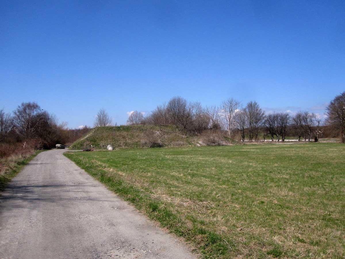 img_6450fx.jpg