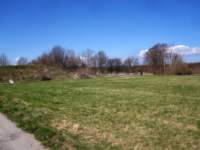 img_6451fx_small.jpg