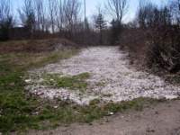 img_6452fx_small.jpg