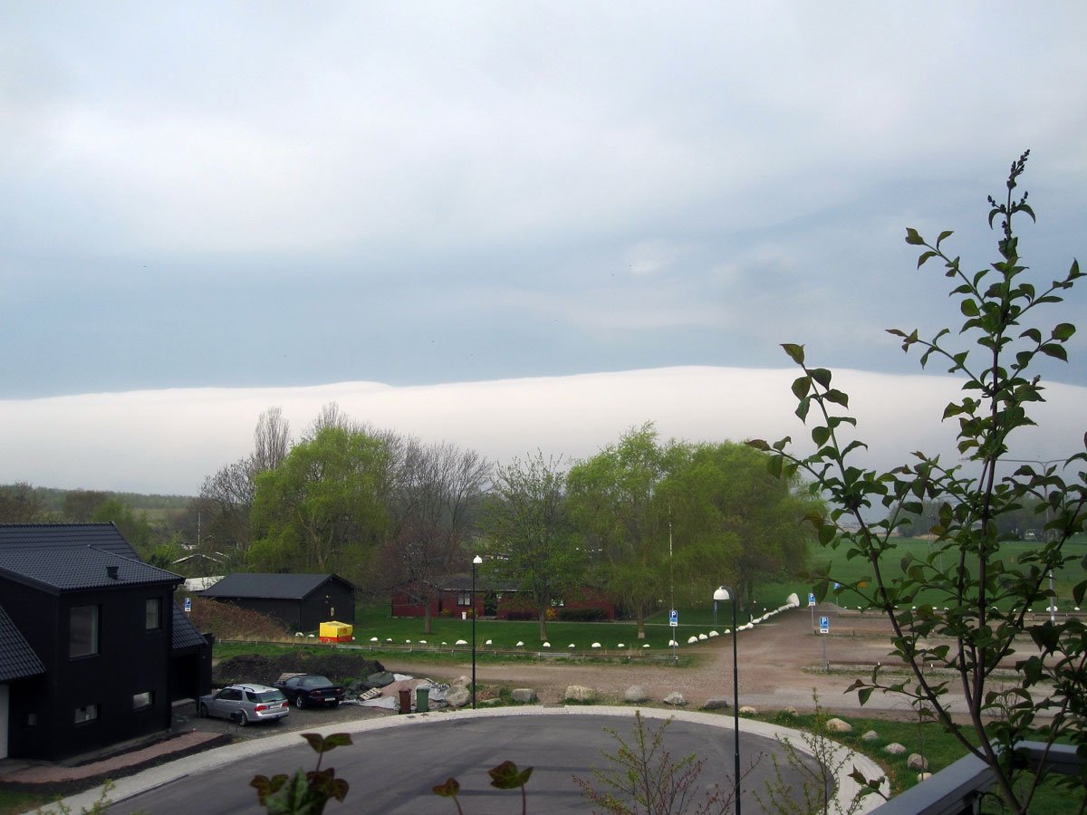 img_6581fx.jpg