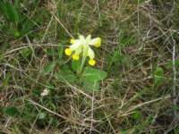 img_6591bfx_small.jpg