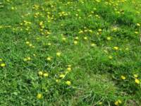 img_6591fx_small.jpg