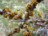 img_6595fx_small.jpg