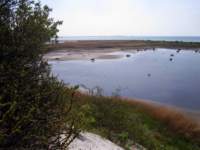 img_6671fx_small.jpg