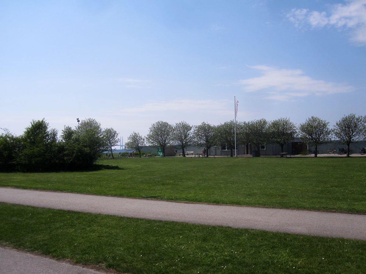 img_6677fx.jpg