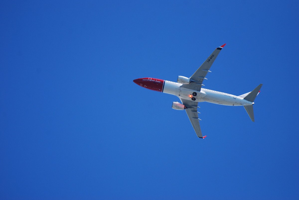 dsc_9549fx.jpg
