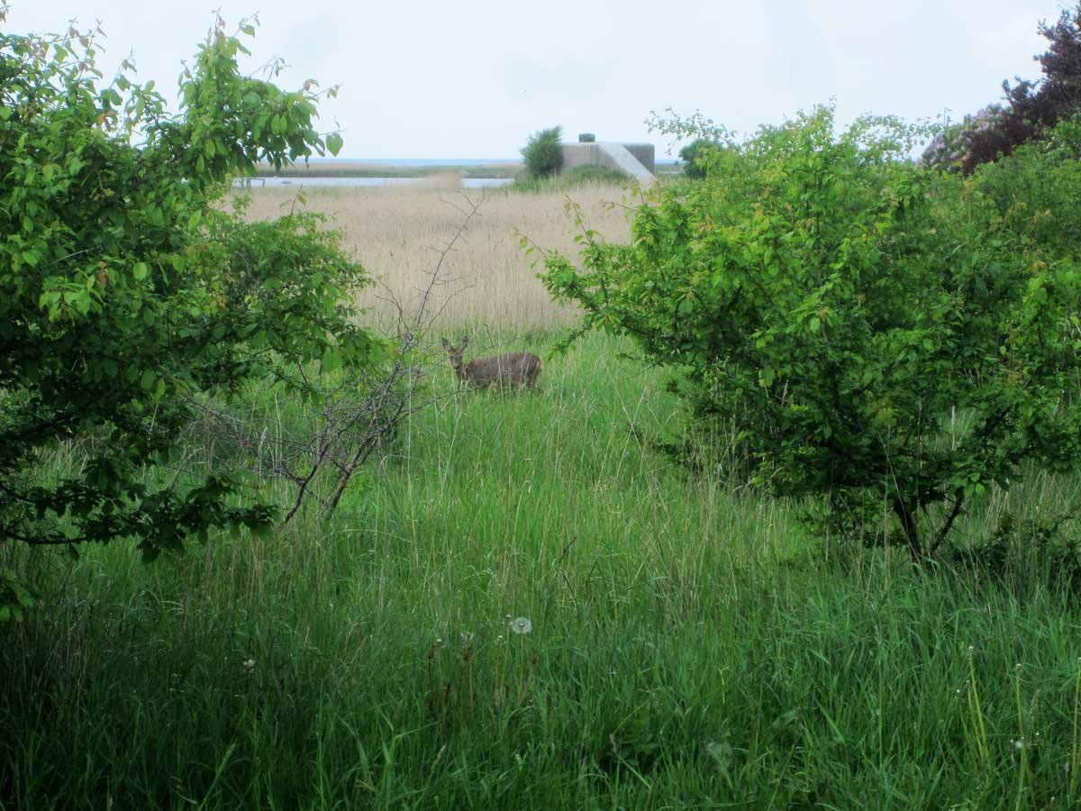 img_6713fx.jpg
